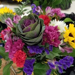 Meet your Posher, Debbie